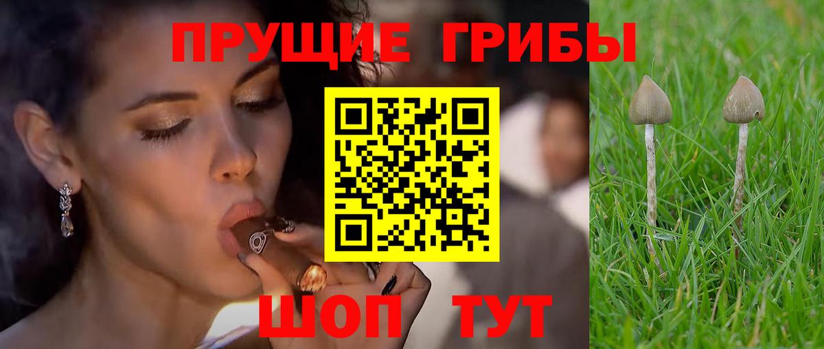 Саянск  Галлюциногенные грибы GOLDEN TEACHER  Вход с VPN  Галлюциногенные грибы MAGIC MUSHROOMS 